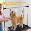 Table de toilettage réglable pour chien avec 2 sangles de sécurité, noire