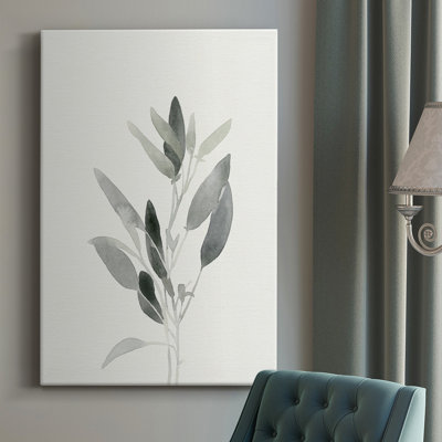 " Delicate Sage Botanical IV "