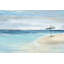 Parvez Taj - Wrapped Canvas Print-36705782