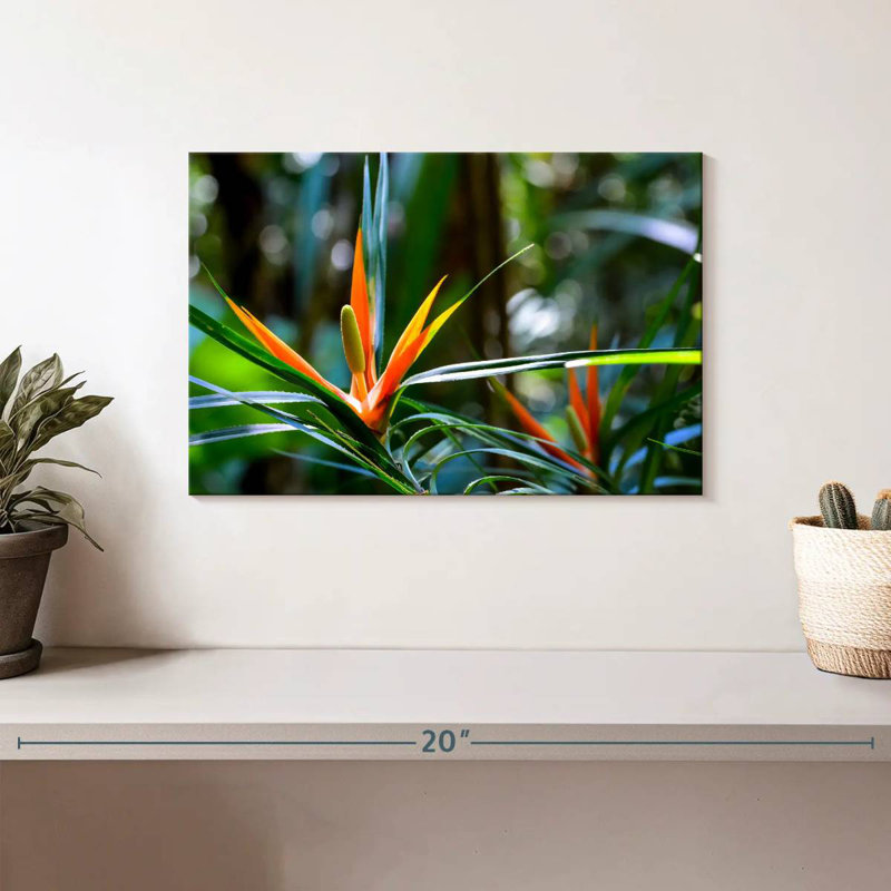 Harnek, oiseaux tropicaux du paradis, H 8 po x l 12 po