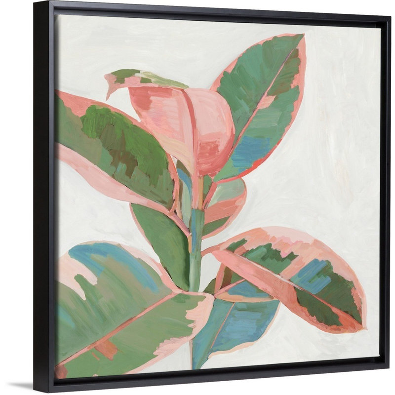 «Pink Ficus I», art mural sur toile, Toile encadrée noire, H 14 po x l 14 po