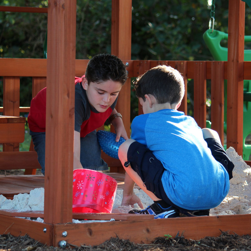 Skyfort II Cedar Wood Swing Set with Slide and Swings