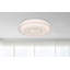 Rachael LED Flush Mount