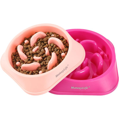 Slow Feeder