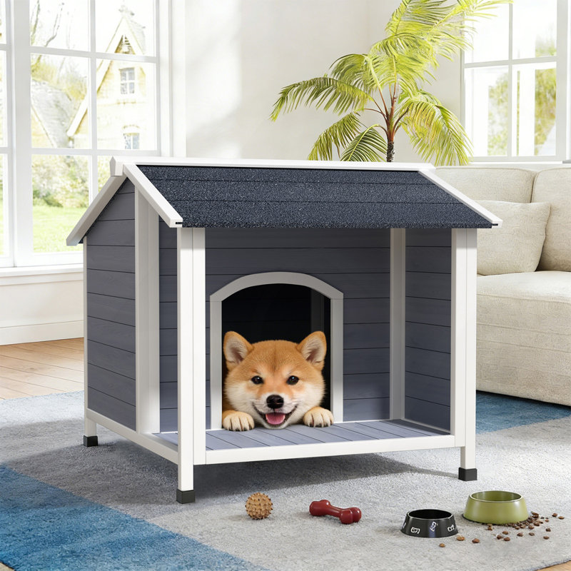 Niche pour chien d'extérieur, abri pour chien en bois résistant aux intempéries avec toit en asphalte, plancher surélevé, assemblage facile, pour petits et moyens chiens