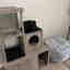Customer photo 7 of 8