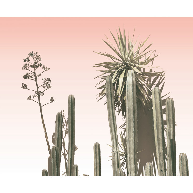 Cacti with Pink - Painting Print, 61cm H x 91cm W, Wrapped Canvas