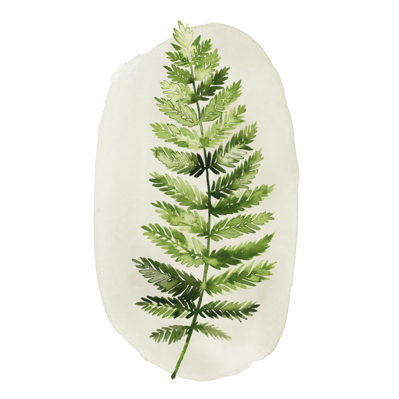 Spot Fern II by Grace Popp - Painting, Wrapped Canvas, 76cm H x 51cm W