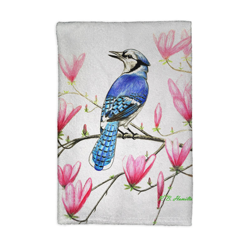Dish Cloth Kitchen Towel