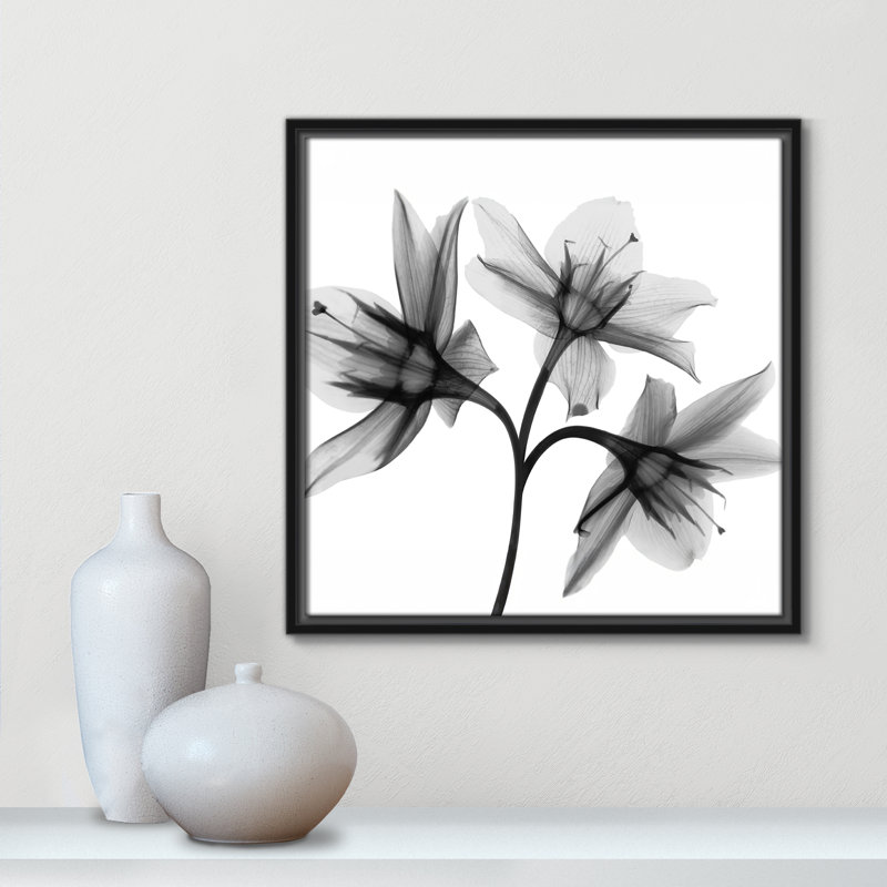 Collection Twins & Trio «Daffodil Trio - Square Version» par Albert Koetsier, Noir, H 17,5 po x l 17,5 po