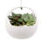 Farringdon Ceramic Hanging Planter-1732775789