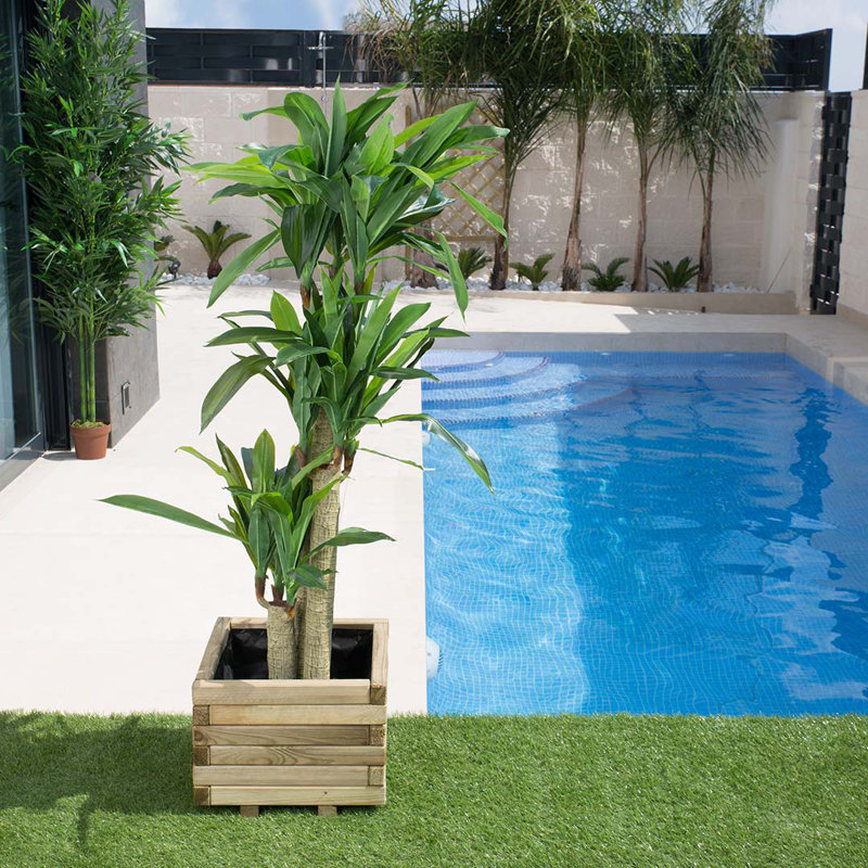 145cm Faux Dracaena Plant in Pot