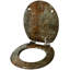 IIianie Soft Close Elongated Toilet Seat