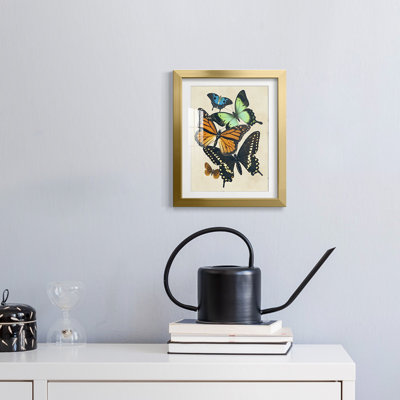 Rollo -Gallery Wrapped Canvas