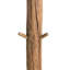 Cassady Solid Wood Freestanding 5 - Hook Coat Stand