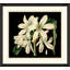 Antique Orchid On Black I Painting