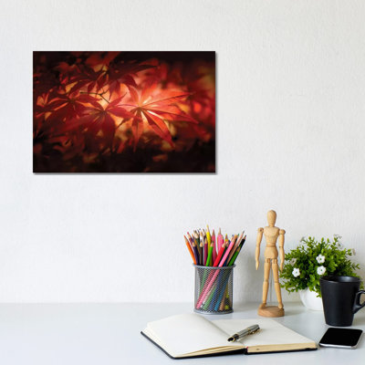 Red Light - Wrapped Canvas Print