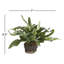 Echeveria Fern Drop-In Faux Plant-476251099