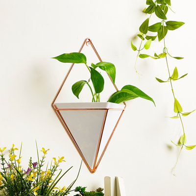 Abedin Hanging Planter