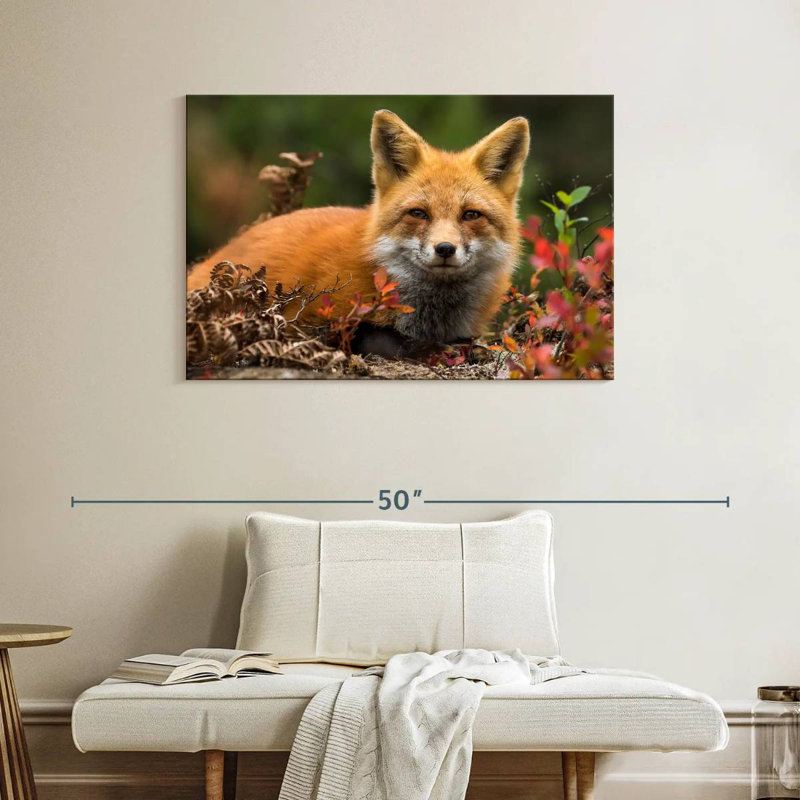 Happy Fox, 26" H x 39" W