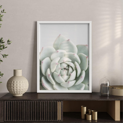 Vert pastel, plante grasse, tranquillité, Illustration de la nature, petite œuvre d'art