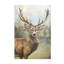 Sepia Deer Print by Eugene Fletcher-26764868-26764872