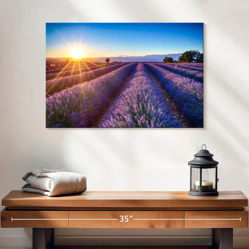 Champ de lavande en fleurs d'Alvord, H 16 po x l 24 po