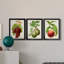 Antique Fruit III - ensemble de 3 impressions sur toile encadrées-702312197-702312193