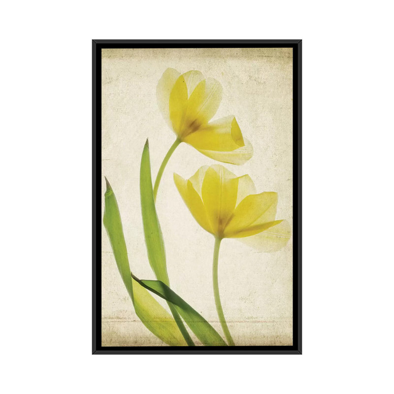 «Parchment Flowers IV», impression sur toile, H 26 po x l 18 po x P 1,5 po, Toile avec cadre flottant noir, Pas de tapis