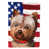Yorkshire Terrier sélectionné