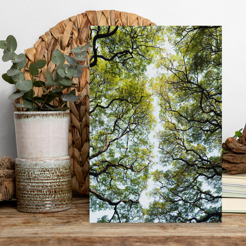 «Trees in A Botanical Garden In», art mural abstrait contemporain, H 18 po x l 12 po