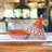 Kamsah Moroccan Tagine Supreme - Medium 3.1 Qt, Red Hand-Painted Ceramic-49531687-49531689