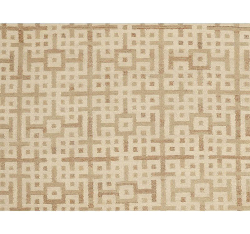 Geometric Area Rug in Beige