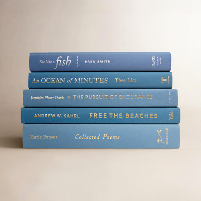 5-Piece Blue Decorative Object