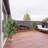 59'' Faux Bamboo Tree in Cement Basket