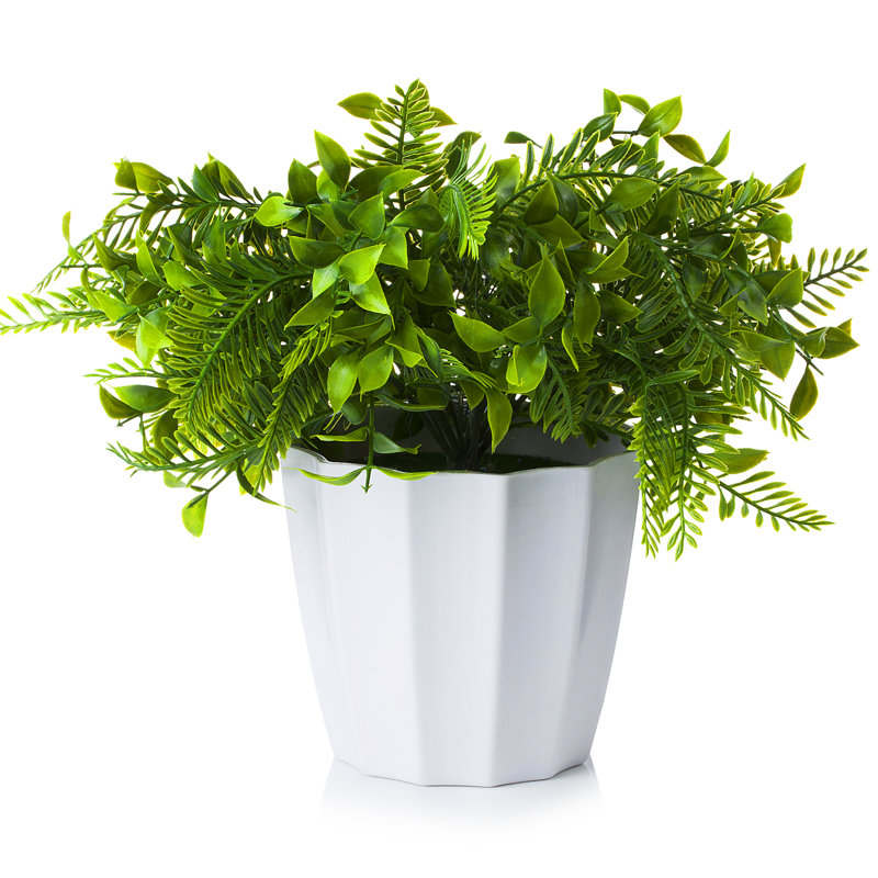 Herbe de conifère artificielle 12 po en pot