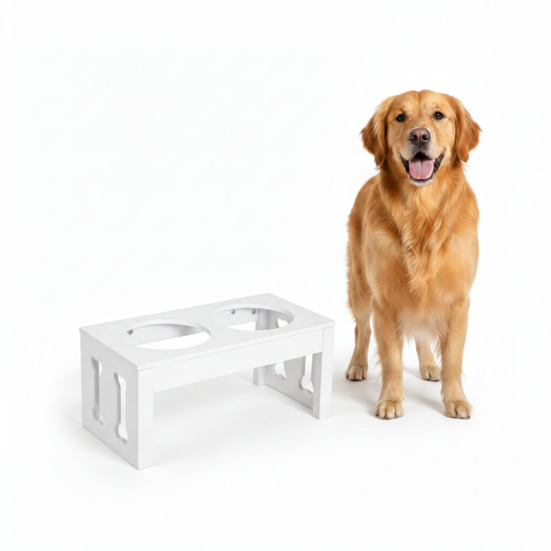 Station de repas surélevée, support surélevé pour bols pour chien, support pour bols pour animaux