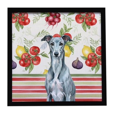 Blue Brindle Greyhound Vegetables Framed Metal Print