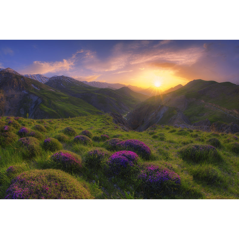 Wrapped Canvas Print, 50.8 cm H x 76.2 cm W
