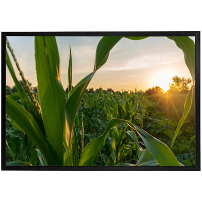 Wunibald Single Picture Frame Print