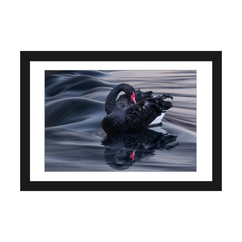 « black swan dunes », impression sur toile, Papier d'art encadré noir, H 16 po x l 24 po x P 1 po