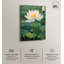 Art Remedy This Is My Waterlily, impressionisme encadré-100258525-100258519