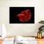 Poisson grandiose rouge Betta-107670130