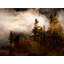 Sun Breaking Through Print by Tom Kostes-65852298-65826446