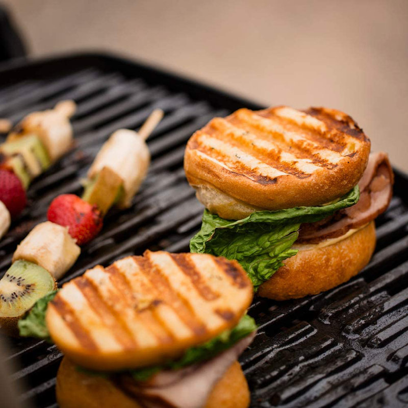 Q® Series Weber Q 2200, Titanium
