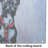 Boston Terrier Ziggy Glass Cutting Board