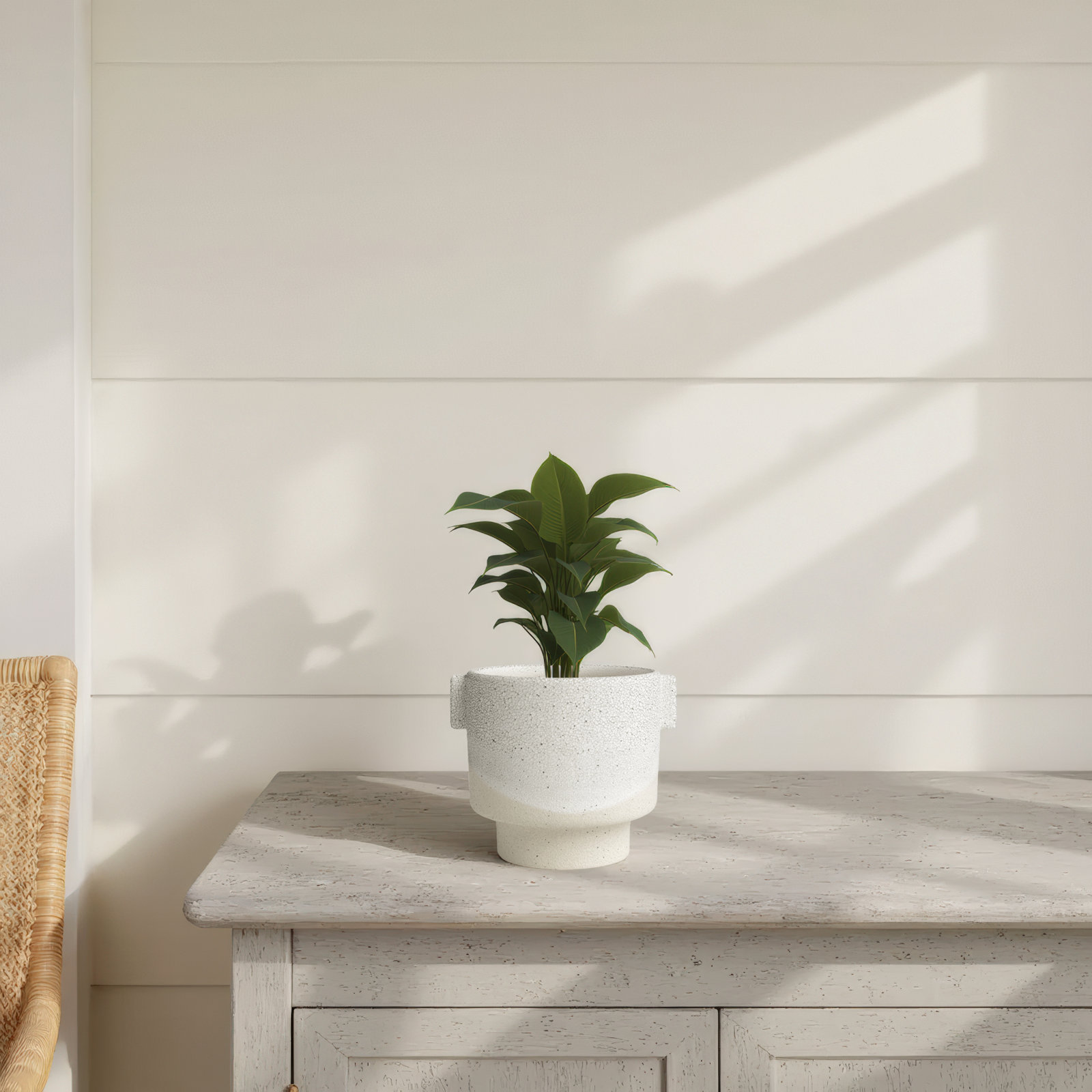 Iberia 7" Ceramic Pot Planter