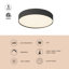 Rynn 5-in Black dimmable LED Flush Mount-1526963964