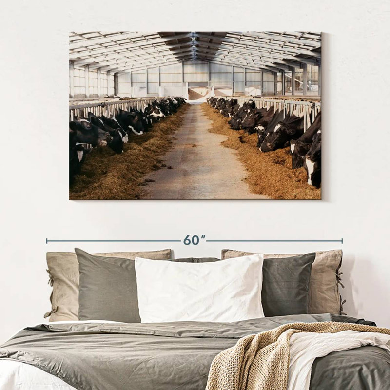 Barn Cows, 34" H x 51" W