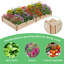 Wooden Raised Garden Bed-562849079-563924677